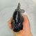 精品兰寿金鱼黑寿淡水鱼纯黑观赏鱼批发财鱼水族宠物