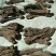 岷县当归头甘肃定西陇西500g产地直发特价可切片包邮