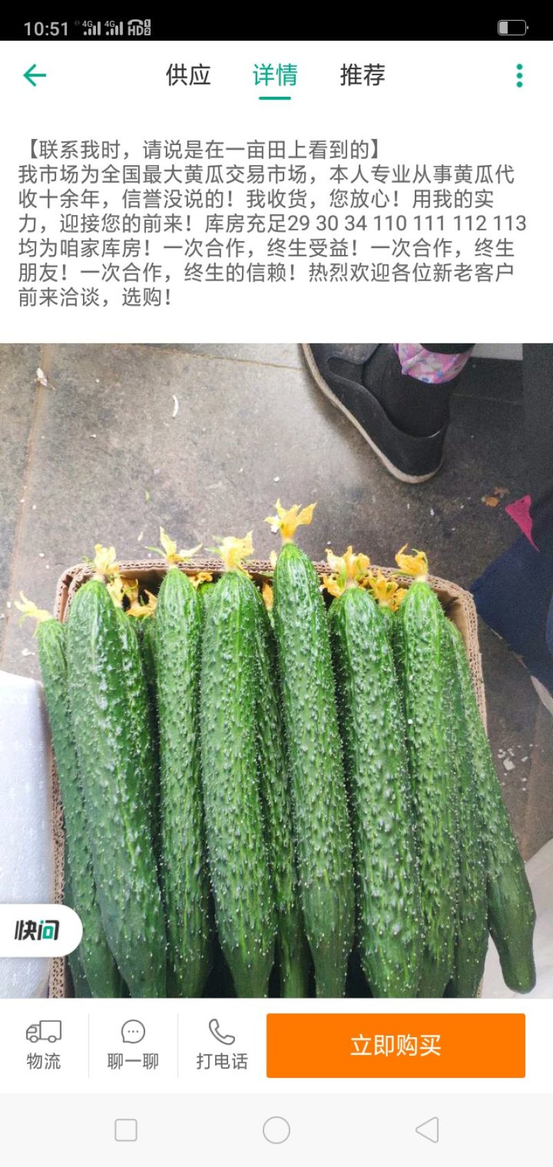 精品黄瓜，天天新鲜货，大量现货