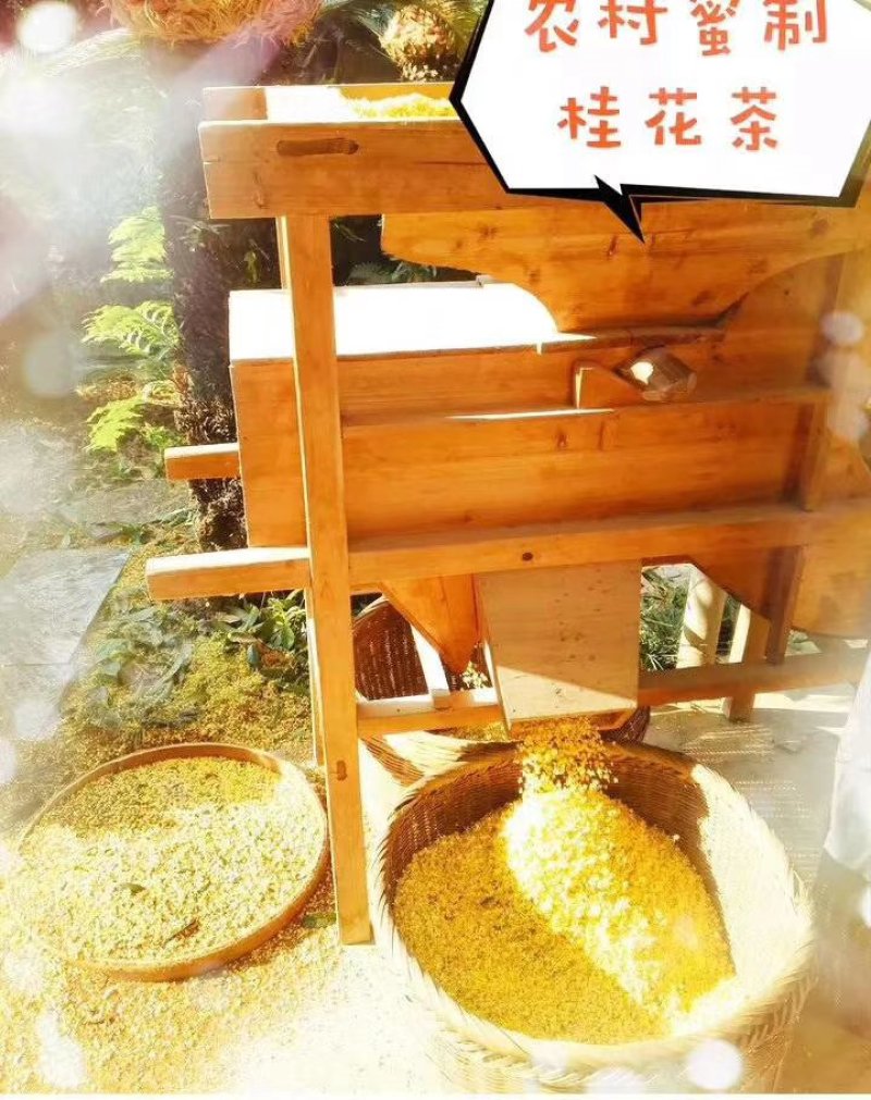 桂花蜜土蜂蜜桂花蜜3斤120包邮！发5斤送1包邮