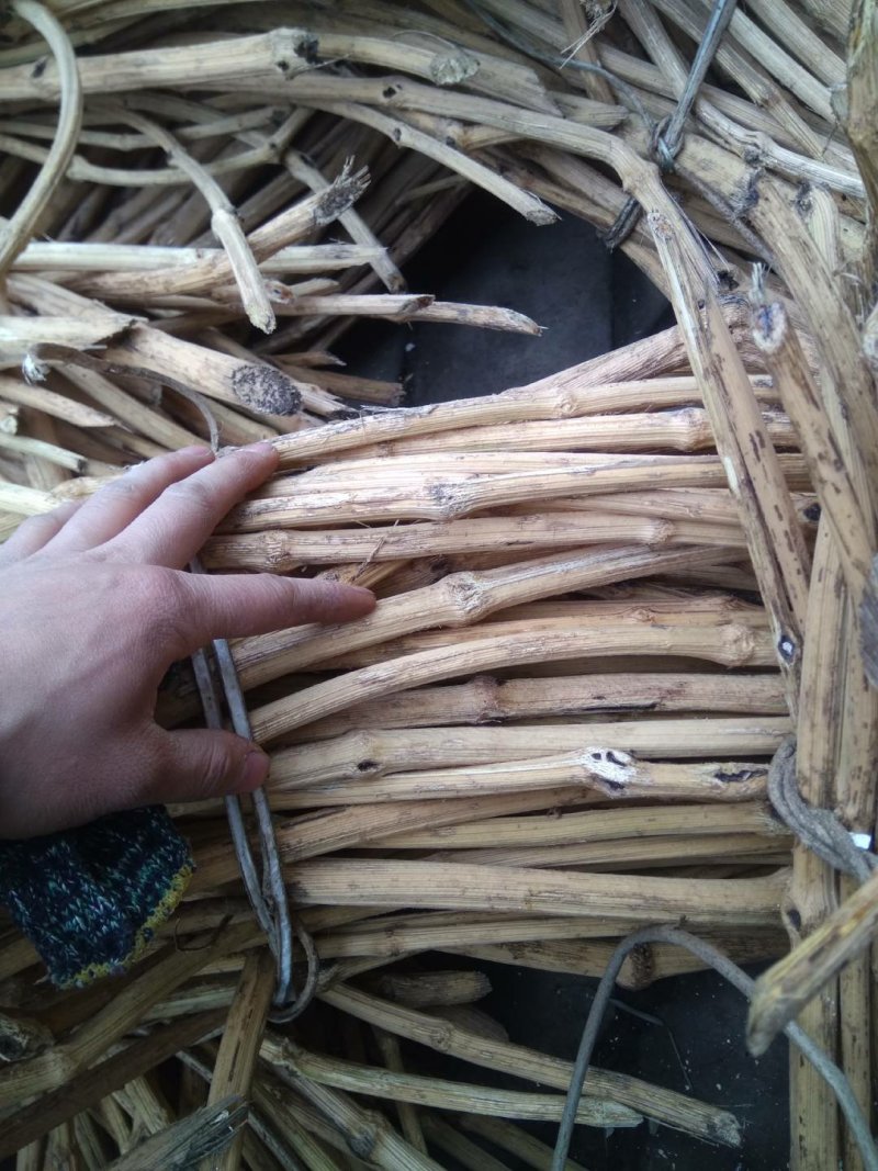 贵州产地中药材川木通鸡挂藤产地直发