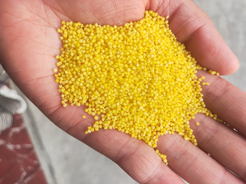 新金苗小米2.5kg，小米