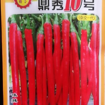 鼎秀10号辣椒种子，味辣果长高产整齐度好。
