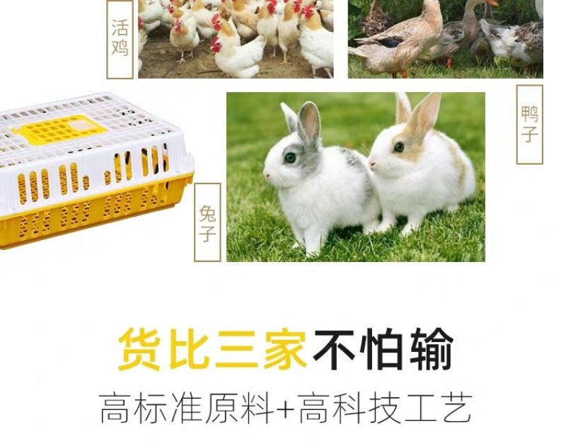 鸡笼周转箱鸡用运输筐成鸡鸭鹅周转箱方形鸽兔用运输笼