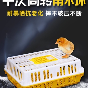 鸡笼周转箱鸡用运输筐成鸡鸭鹅周转箱方形鸽兔用运输笼