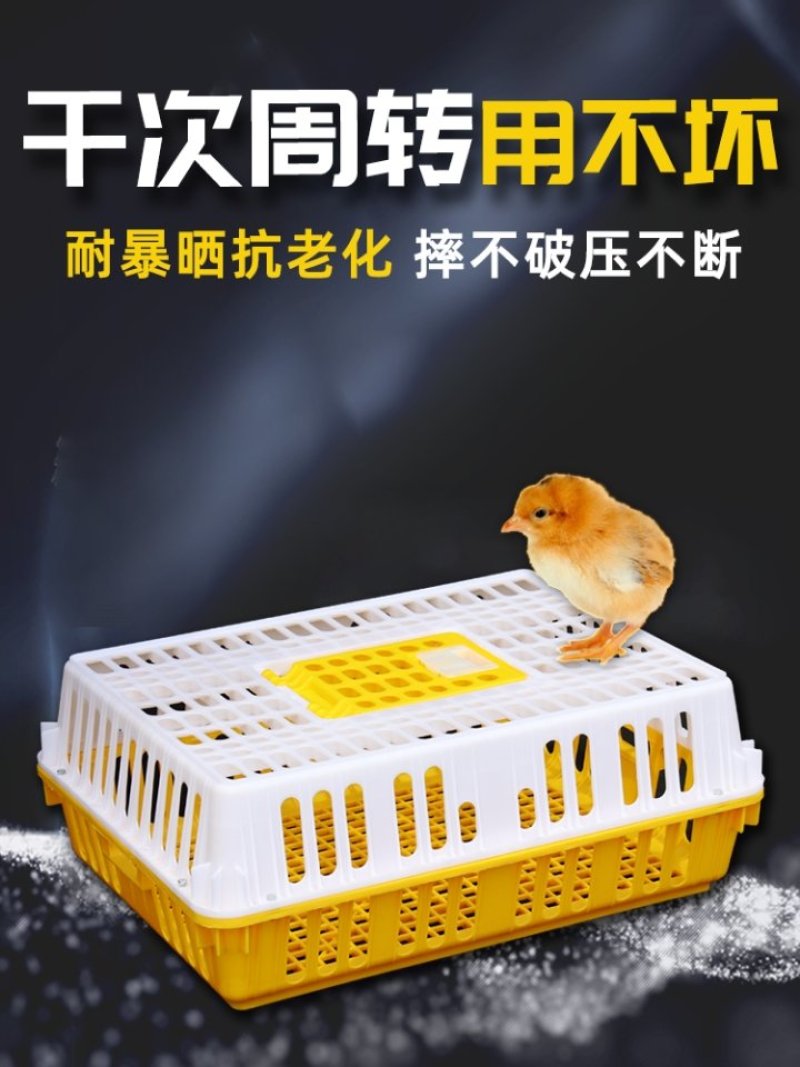 鸡笼周转箱鸡用运输筐成鸡鸭鹅周转箱方形鸽兔用运输笼