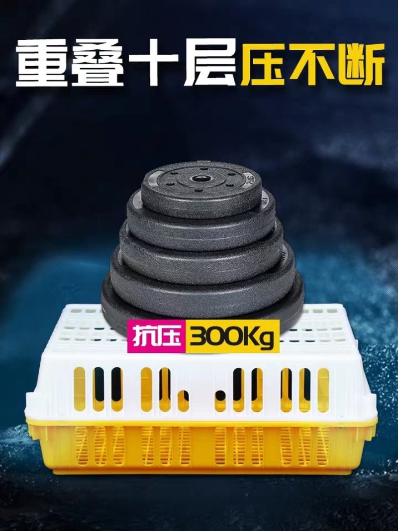 鸡笼周转箱鸡用运输筐成鸡鸭鹅周转箱方形鸽兔用运输笼