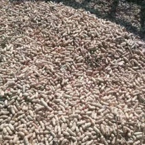 吉林优质花生干湿规格齐全基地直供欢迎各位朋友选购