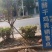 生物菌发酵鸡粪有机肥