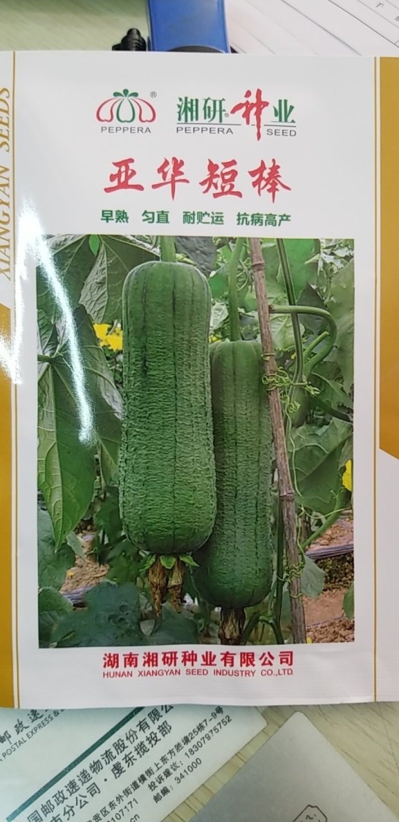 亚华短棒丝瓜牛商推荐量大从优