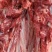 驴肉系列