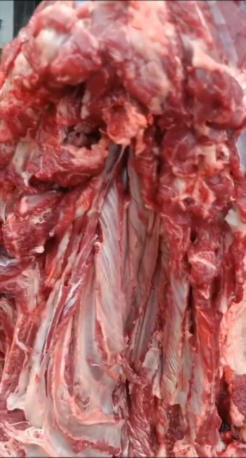 驴肉系列