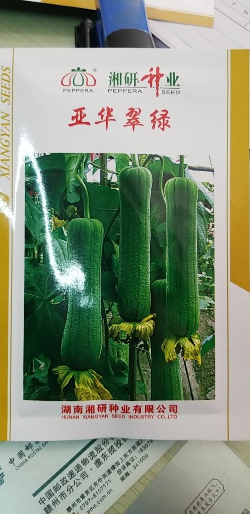 亚华翠绿丝瓜牛商推荐量大从优