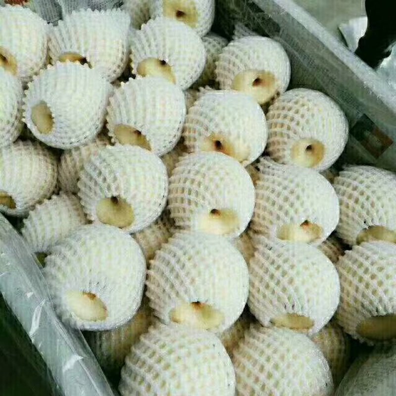 酥梨