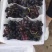 紫甜无核A一17葡萄精品葡萄，我们这里是万亩葡萄种植基地