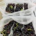 紫甜无核A一17葡萄精品葡萄，我们这里是万亩葡萄种植基地