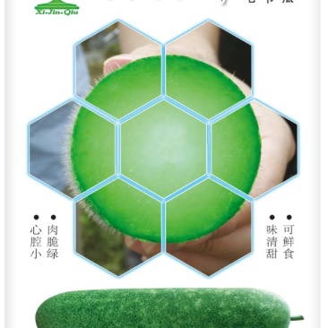 甜甜鲜毛节瓜种子心腔小肉翠绿味清甜可鲜食