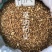 防风内蒙古北防风关防风一公斤起批