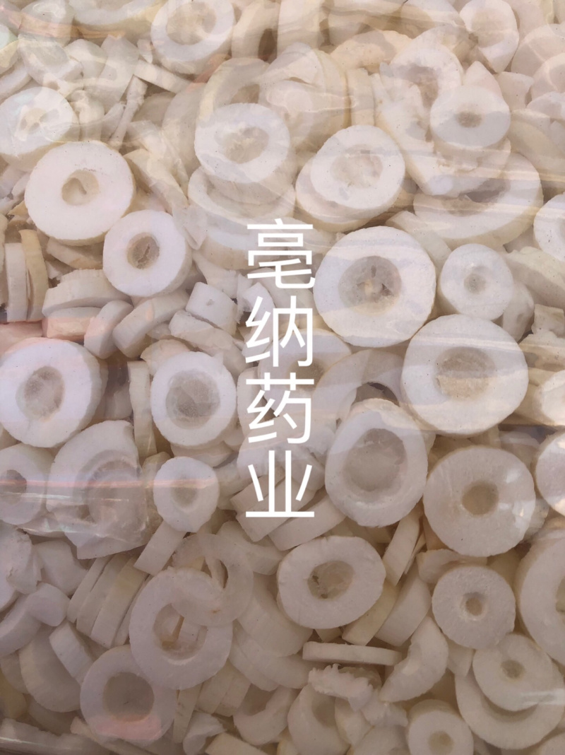 通草大通草小通草通草片一公斤一袋大货批发