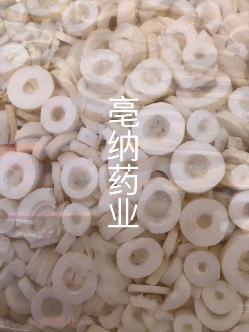 通草大通草小通草通草片一公斤一袋大货批发