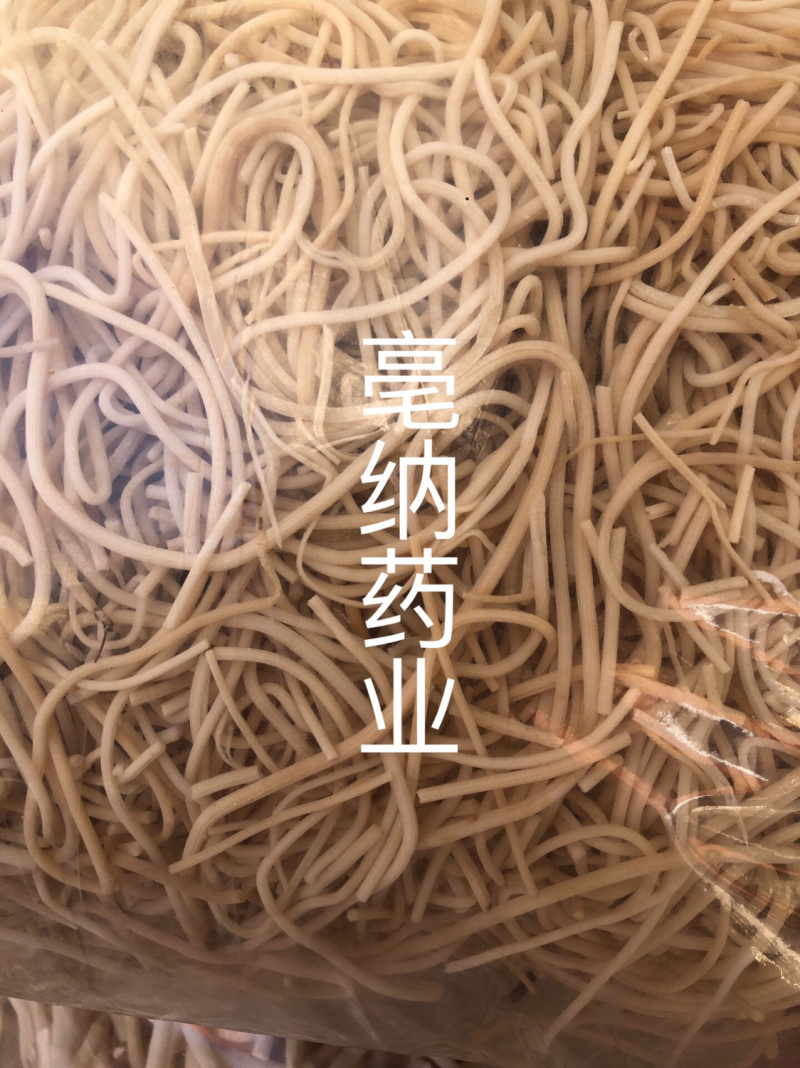灯芯草龙须草灯草中药材灯心草一斤起批