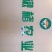 金丝楸123456789
