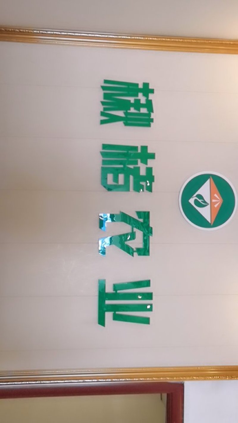 金丝楸123456789