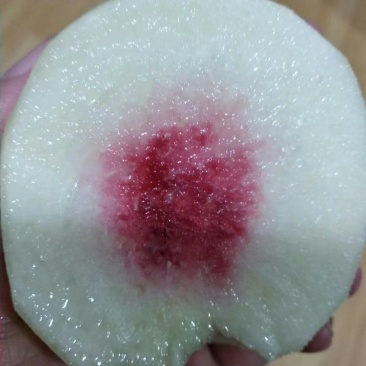 金秋红蜜上市了！