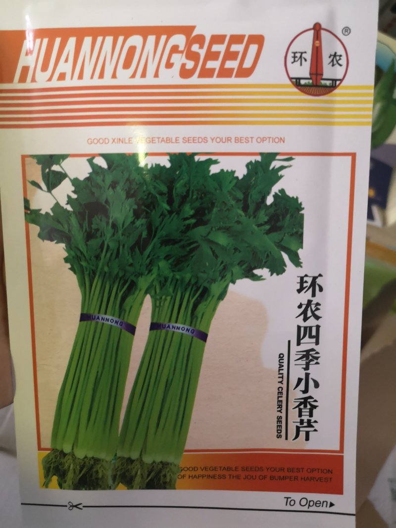 小香芹种子耐寒抗热速生四季可播种