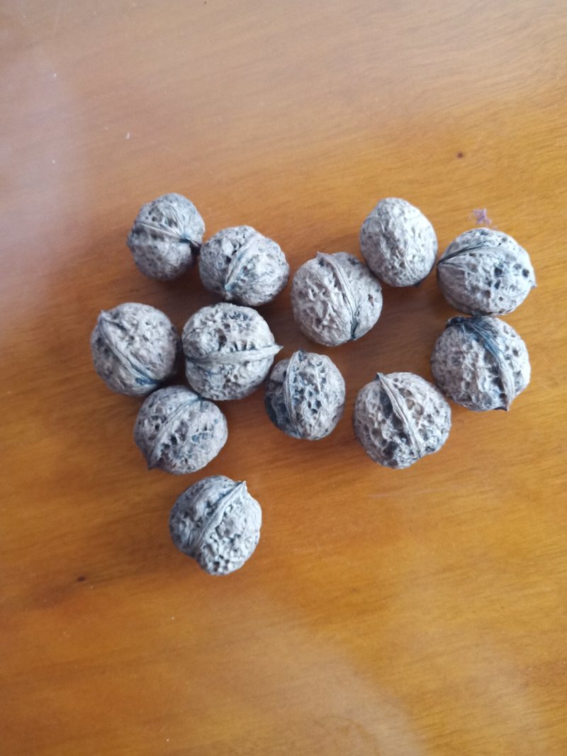 千亩漾濞大泡核桃求带走