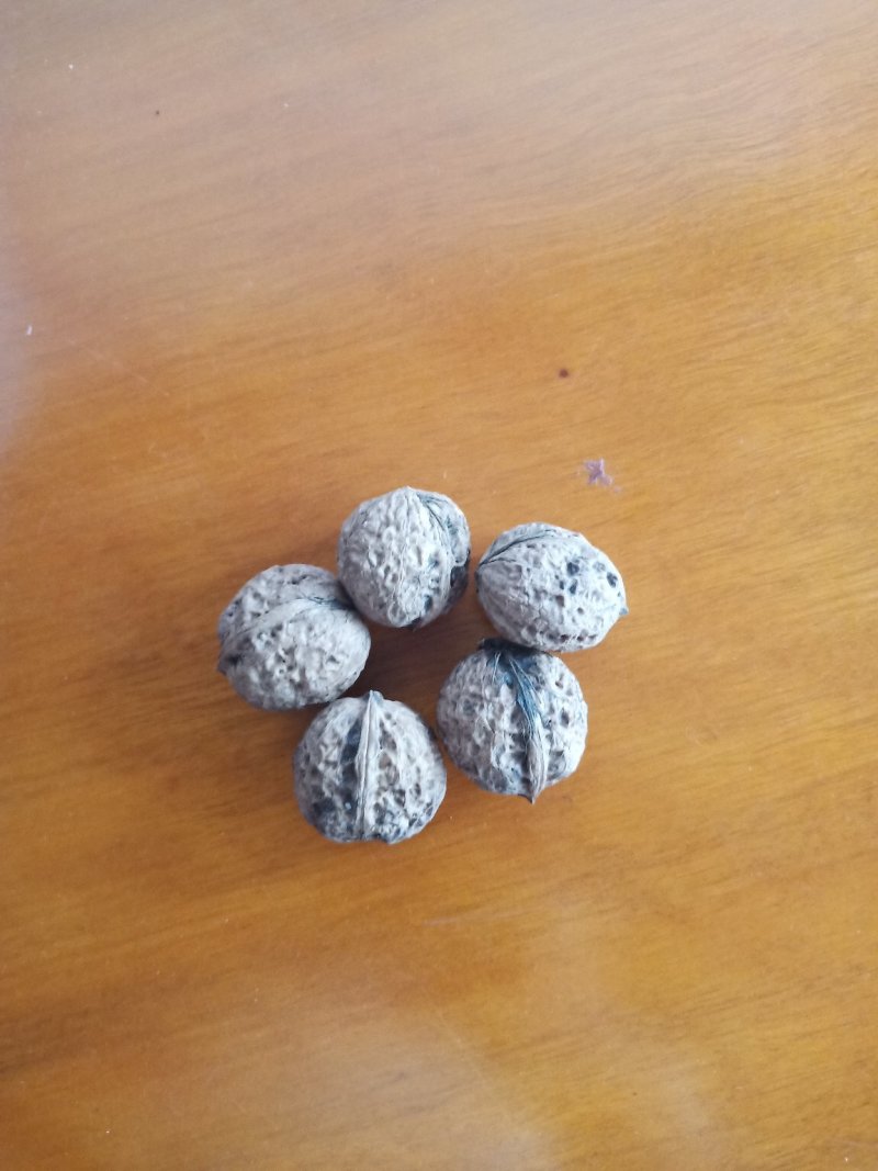 千亩漾濞大泡核桃求带走