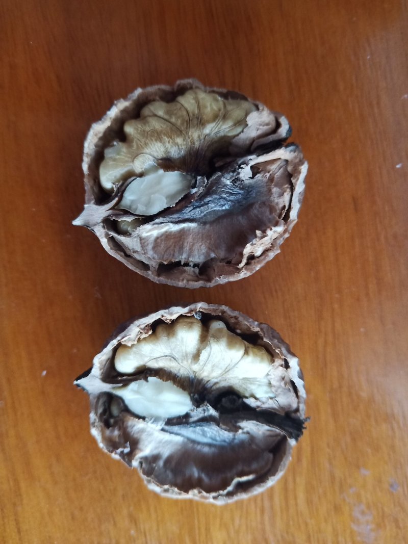 千亩漾濞大泡核桃求带走