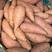 供西瓜红，济薯26烟薯25，红香蕉，来福，老黄皮，紫薯等