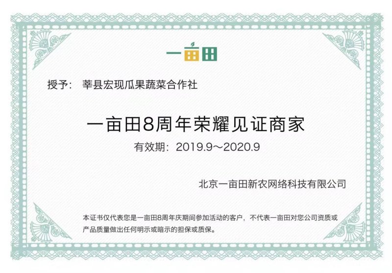 大量供应大红西红柿基地货源质量保证价格不高