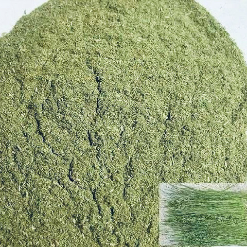 松针粉有效改善蛋鸡蛋黄颜色亮度深度