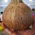 海南椰皇文昌本地椰子抛光不打蜡做椰子碗长期供应