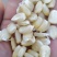 糯玉米干粒