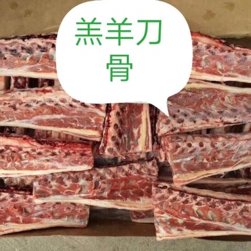 精品羔羊多肉刀骨，带肉带筋，常年供应，对接全国市场发货