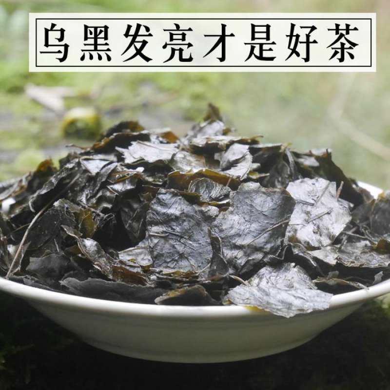 云南天然野生毛冬青叶大叶毛冬青茶苦甘叶散装包邮干