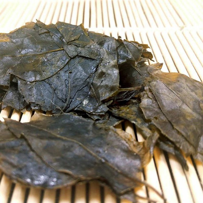 云南天然野生毛冬青叶大叶毛冬青茶苦甘叶散装包邮干