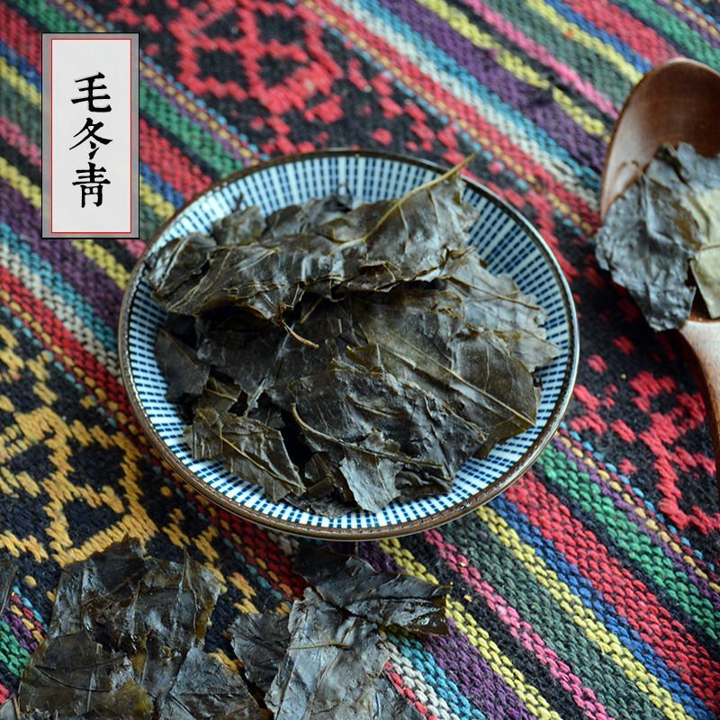 云南天然野生毛冬青叶大叶毛冬青茶苦甘叶散装包邮干