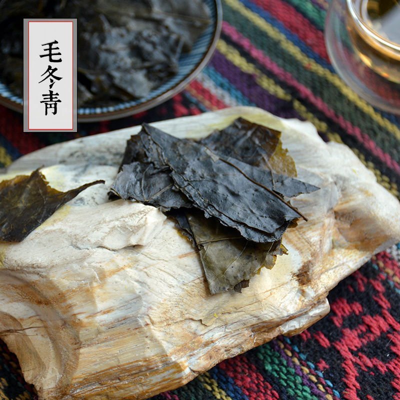 云南天然野生毛冬青叶大叶毛冬青茶苦甘叶散装包邮干