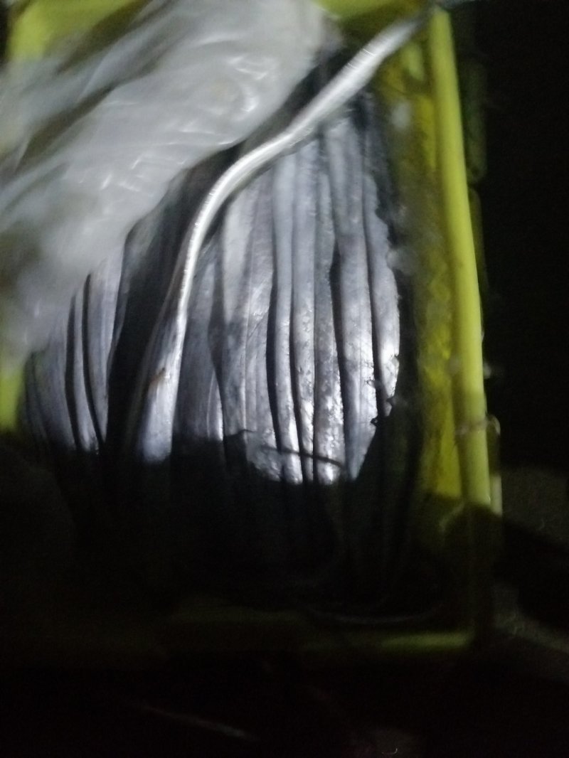 本地东海A带鲜度好一斤以下规格齐全