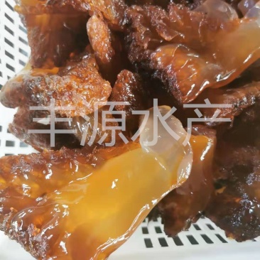 黄海绵蜇绵蜇头绵蜇大角绵蜇