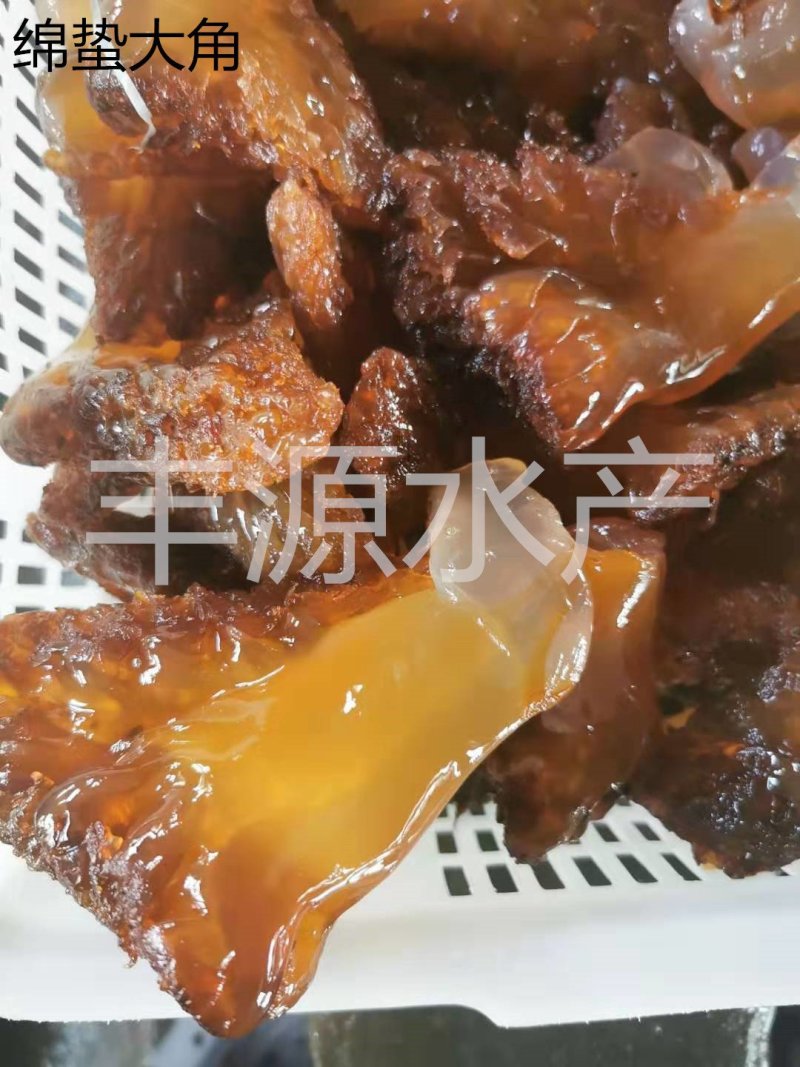 黄海绵蜇绵蜇头绵蜇大角绵蜇