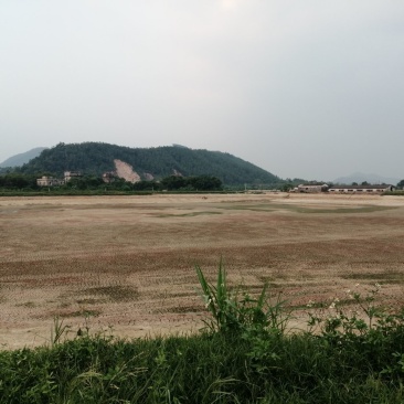 500亩鸡鸭鹅养殖场出租