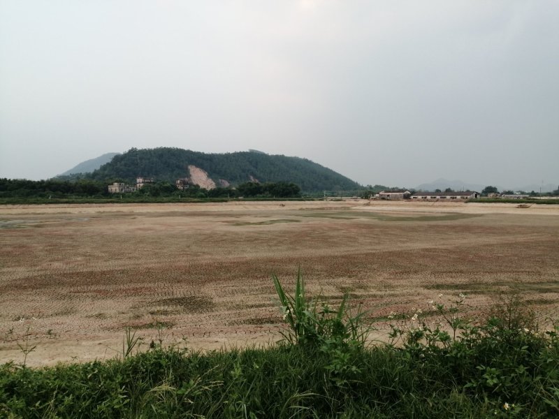 500亩鸡鸭鹅养殖场出租