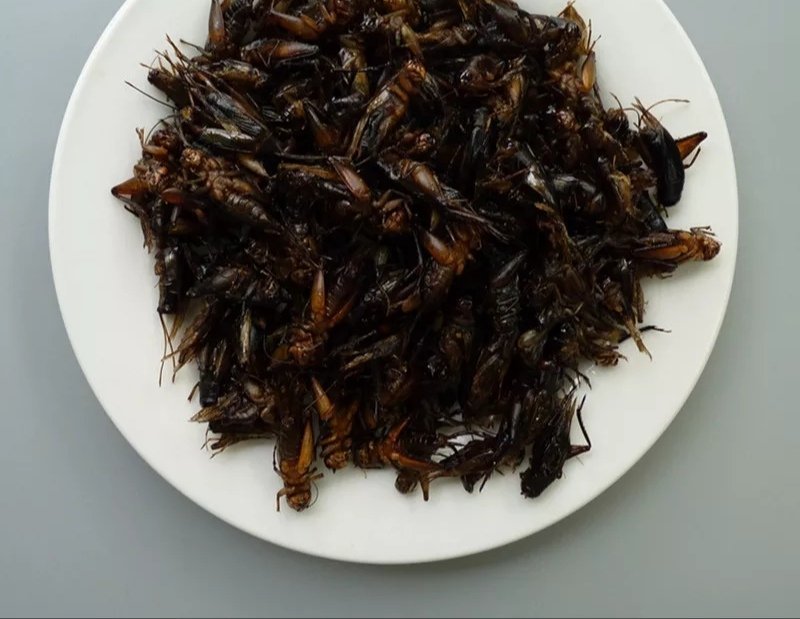 蟋蟀,道地药材，质优价实，品质保证，药典标准一公斤起批