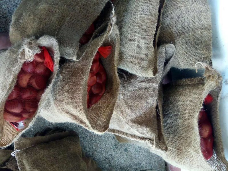 麻袋厂家直销粮食麻袋土豆麻袋干辣椒麻袋沙土麻袋礼品麻袋