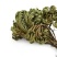 卷柏,产地云南，道地药材，质优价实，品质保证，药典标准